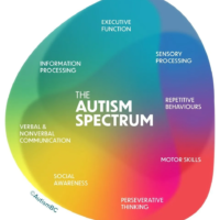 Autism-Spectrum-Infographic_v2-960x1050